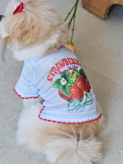即納 Juicy Market T-Shirt 全3色