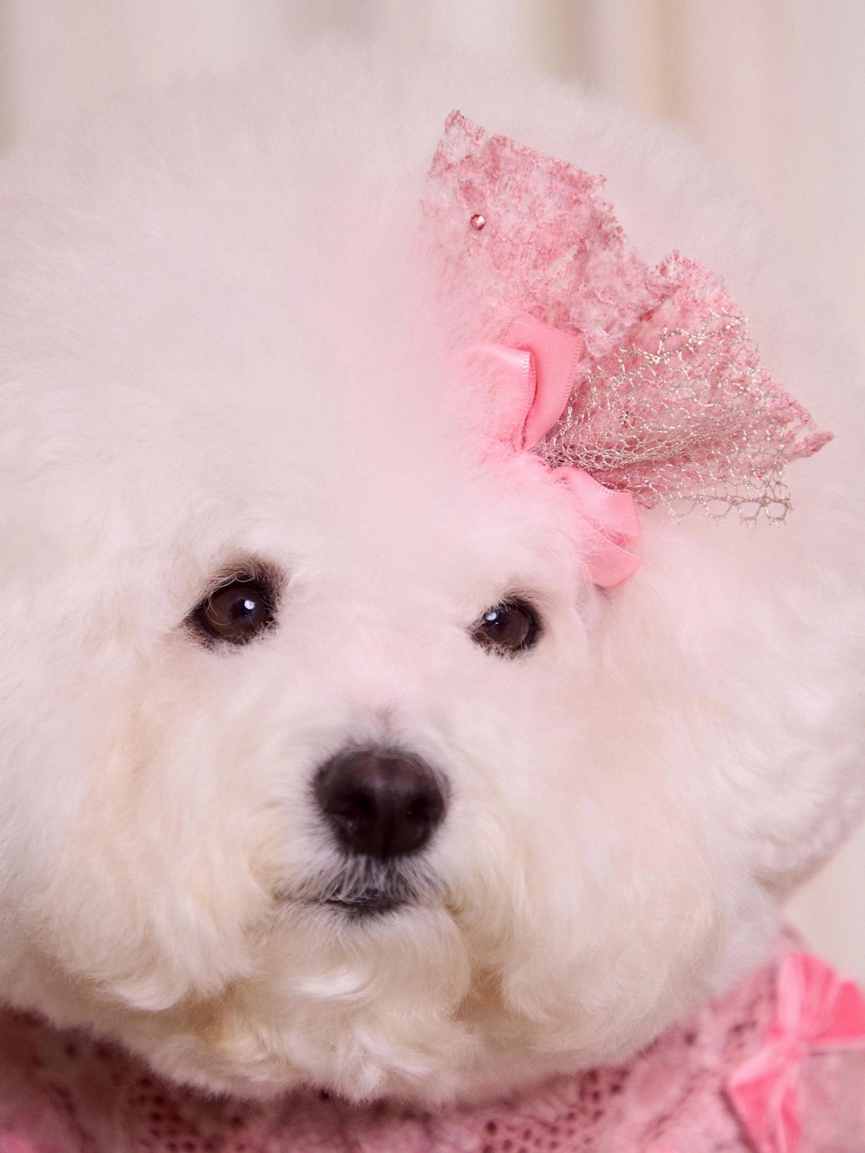 Lace Garden Hairpin 全3色