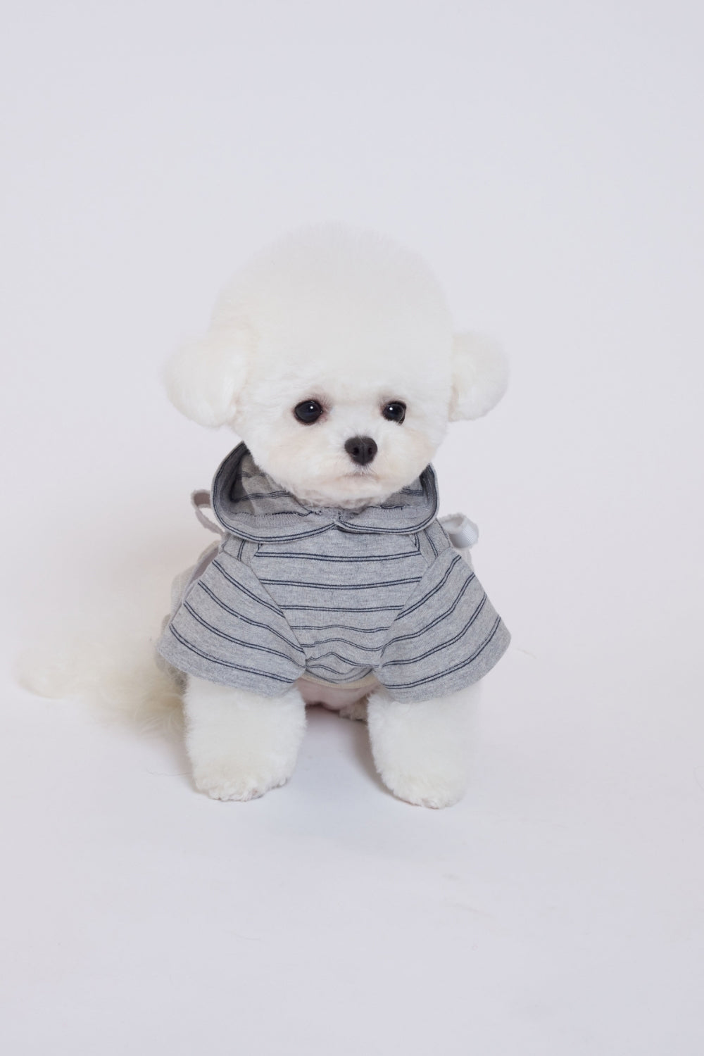 Ribbon Tail Hood Top グレー