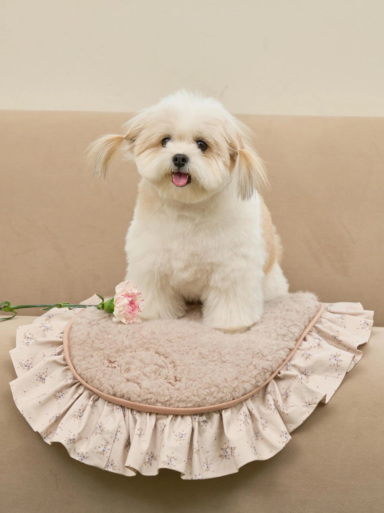 即納 Cozy Cloud Blanket 全3色