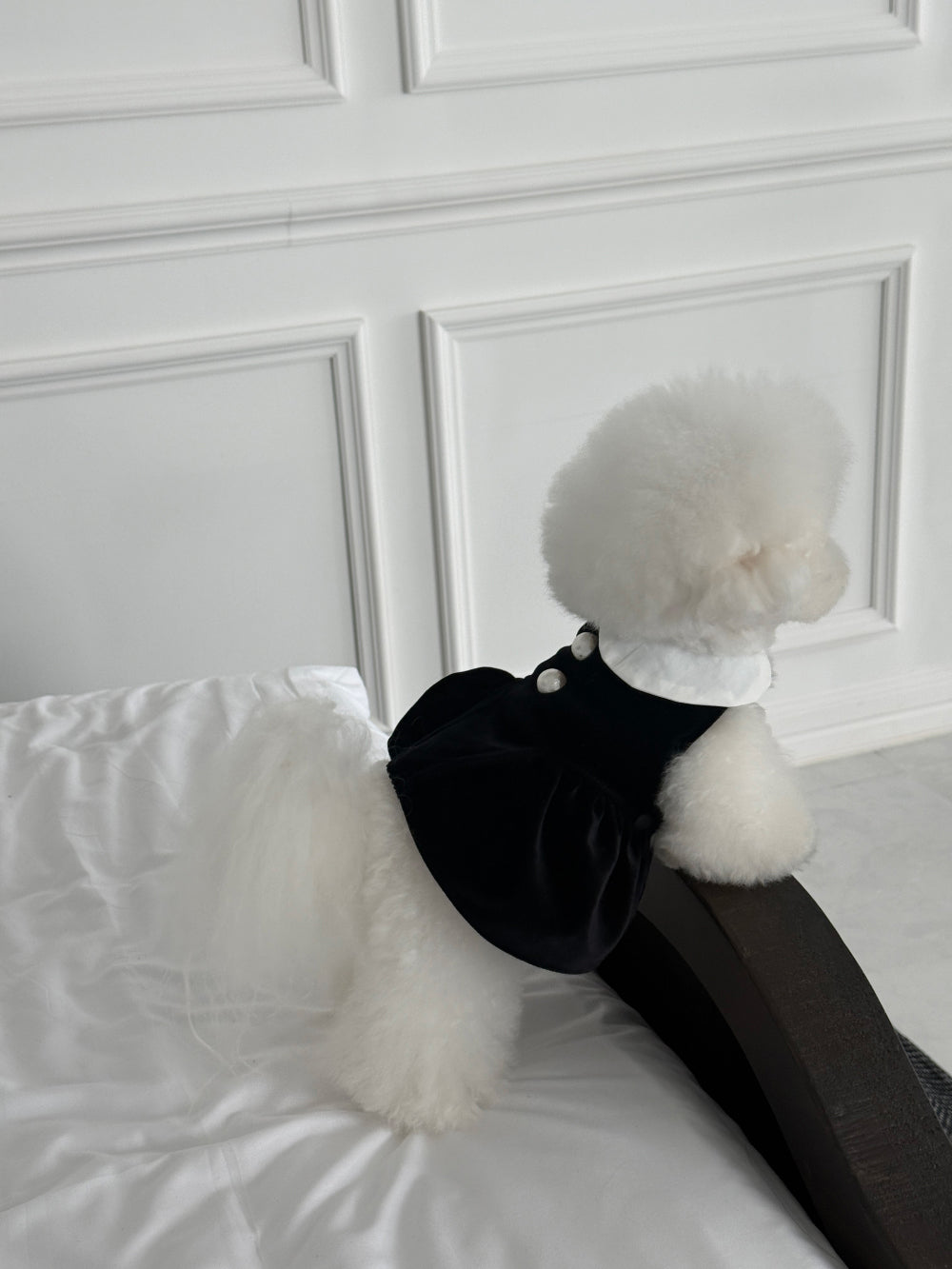 【PRE-ORDER】Black Velvet Dress