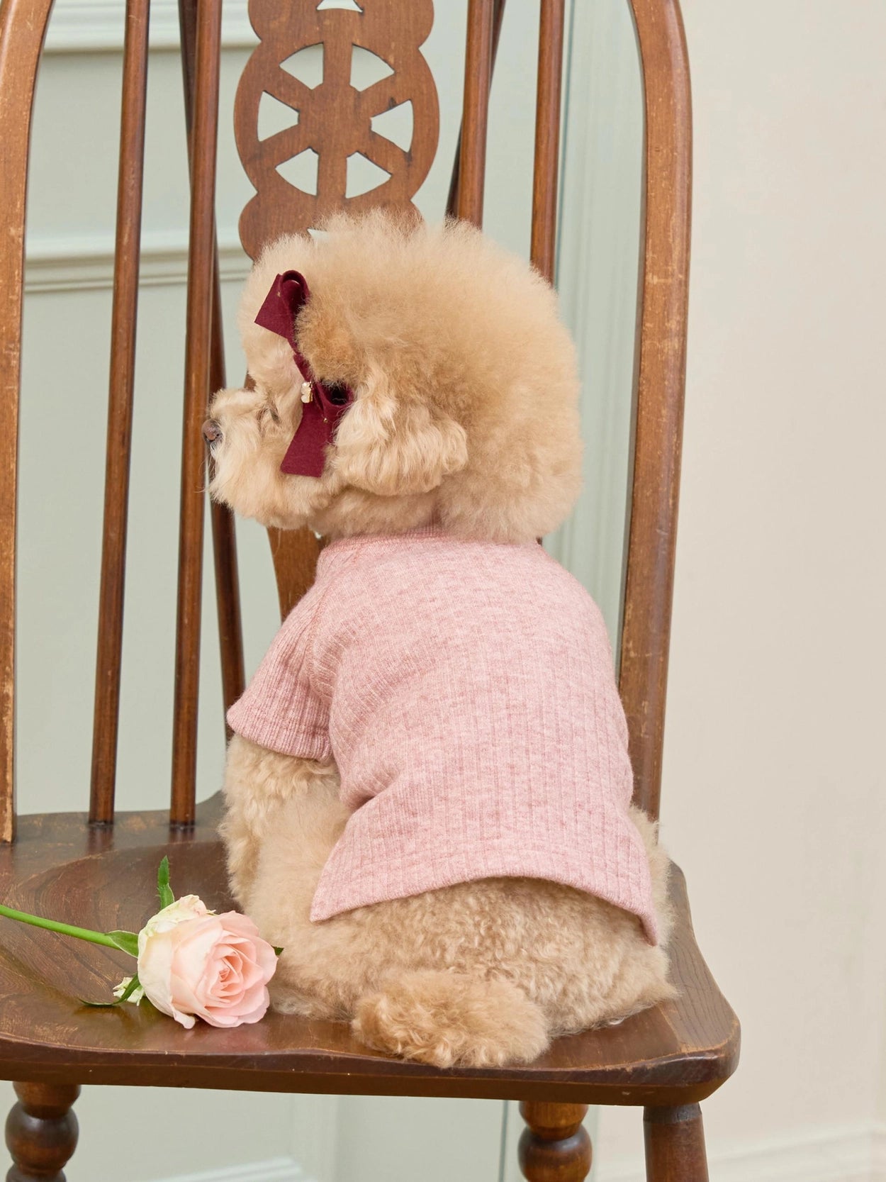 即納 Tiny Garden Turtleneck 全3色