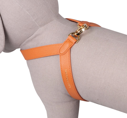 VV Harness オレンジ