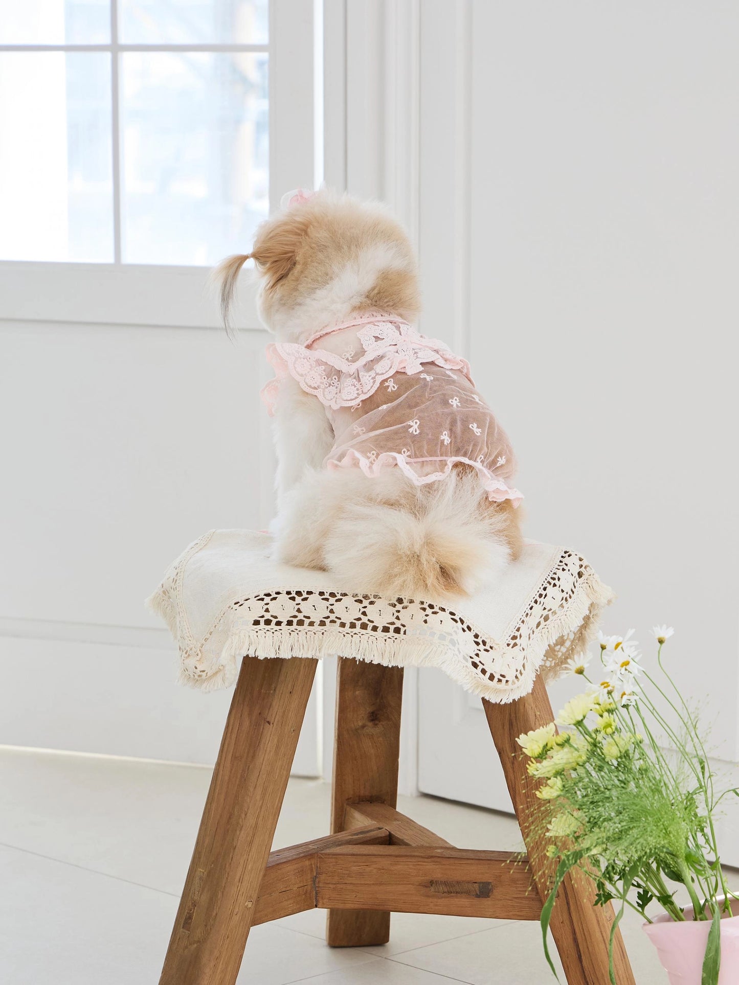 Sweetie Bebe Dress 全3色