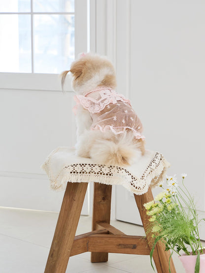 Sweetie Bebe Dress 全3色