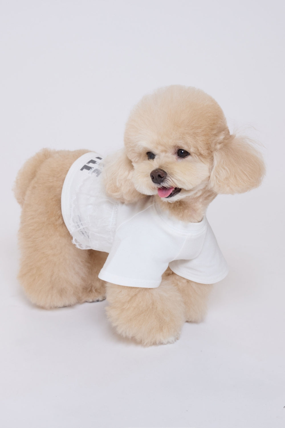 Pure Dog Lace Top ホワイト