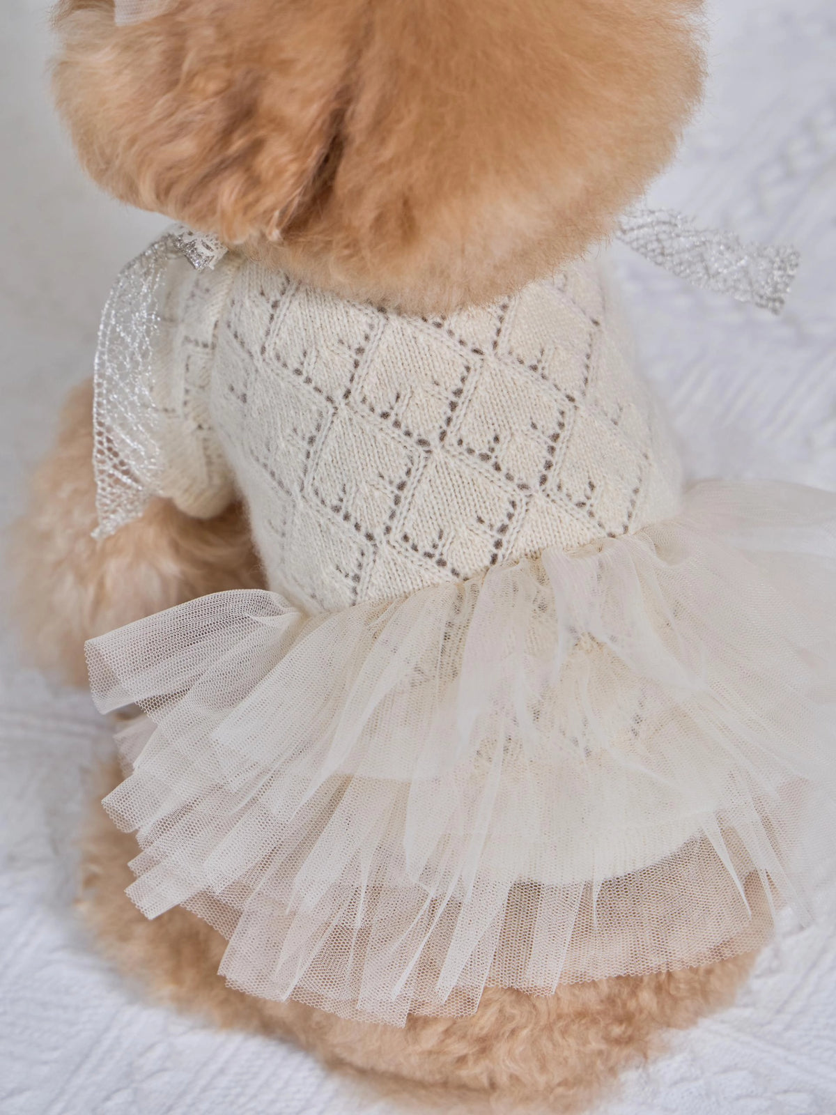 Patissier Tutu Dress 全3色