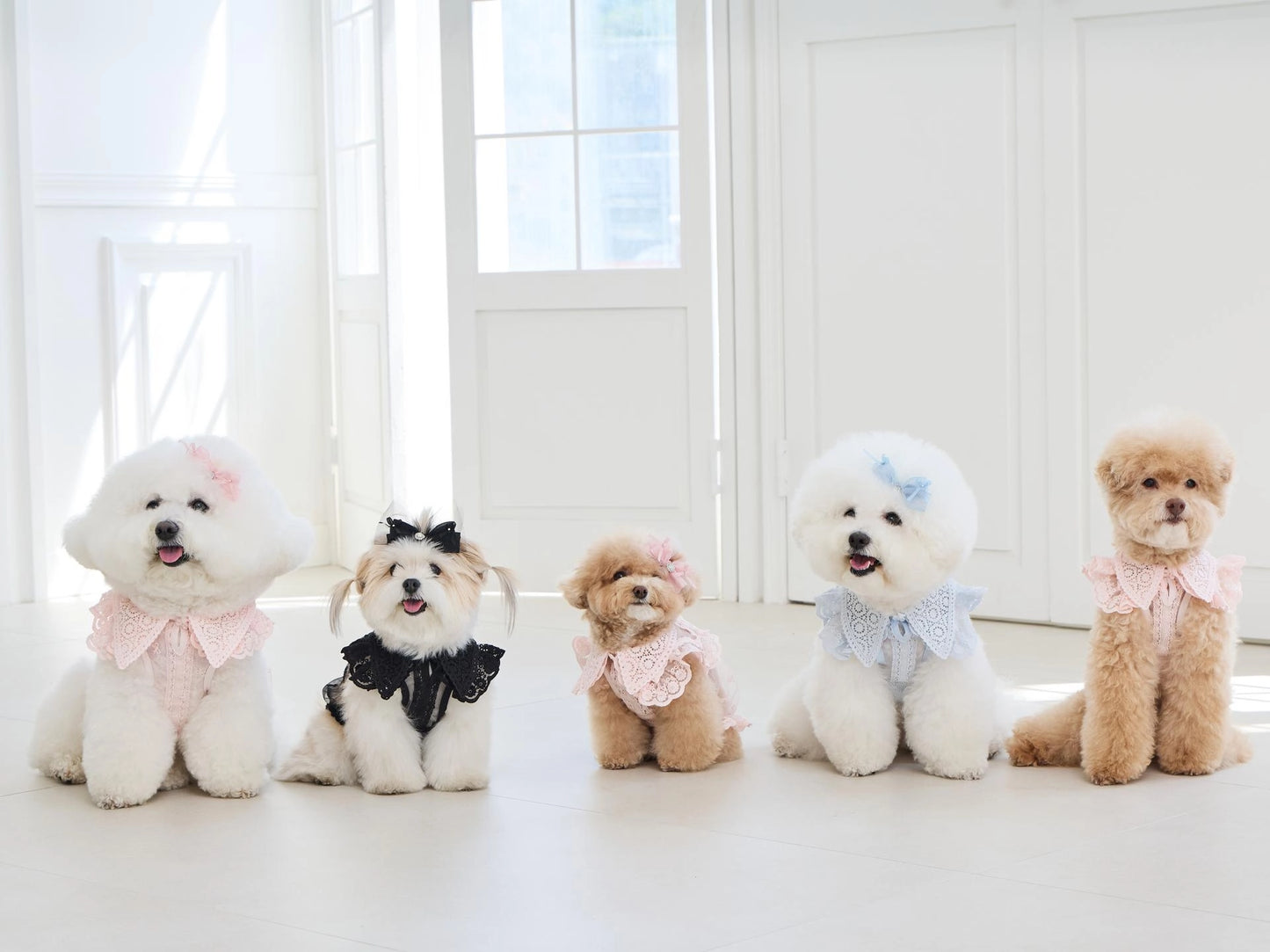 Sweetie Bebe Hairpin 全3色