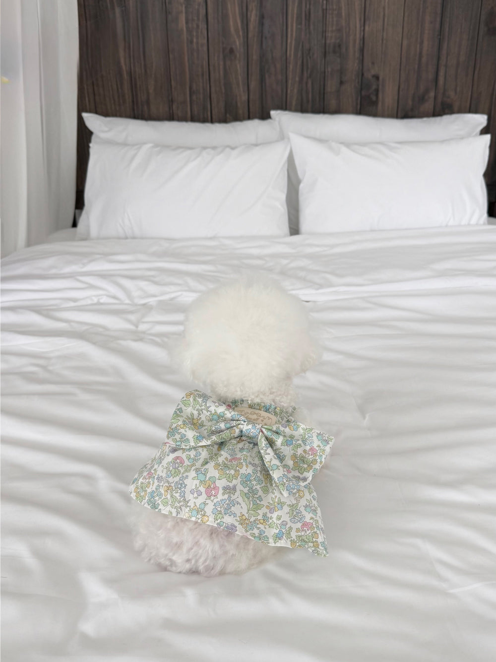 【PRE-ORDER】Liberty Japan My Melody Green Dress