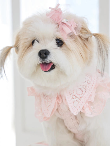 Sweetie Bebe Hairpin 全3色
