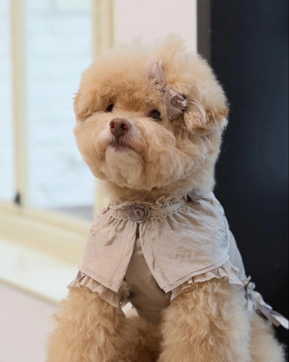 Plié Belle Blouse 全3色