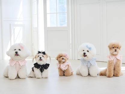 Sweetie Bebe Dress 全3色