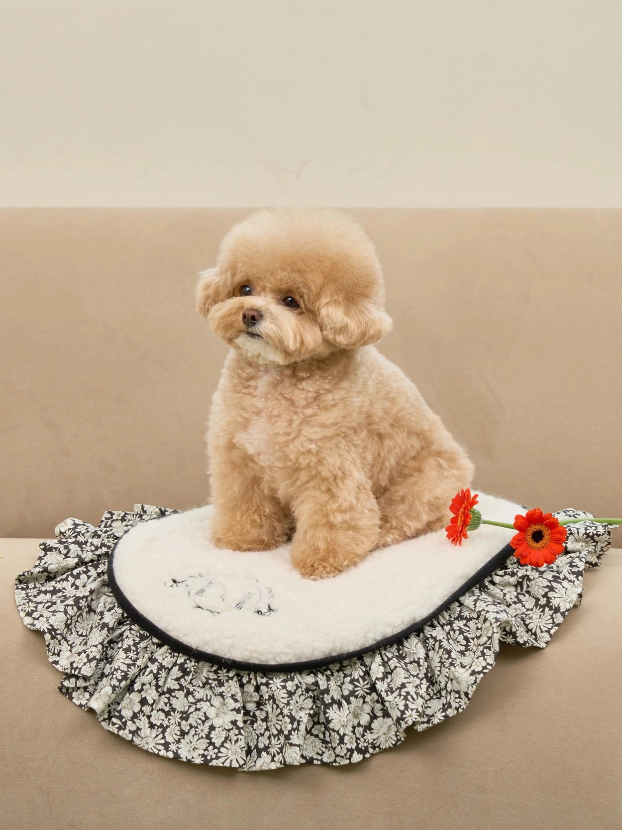 即納 Cozy Cloud Blanket 全3色