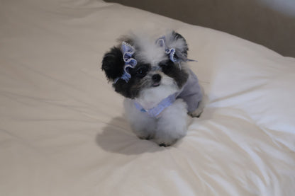 【PRE-ORDER】Blue Scrunchie