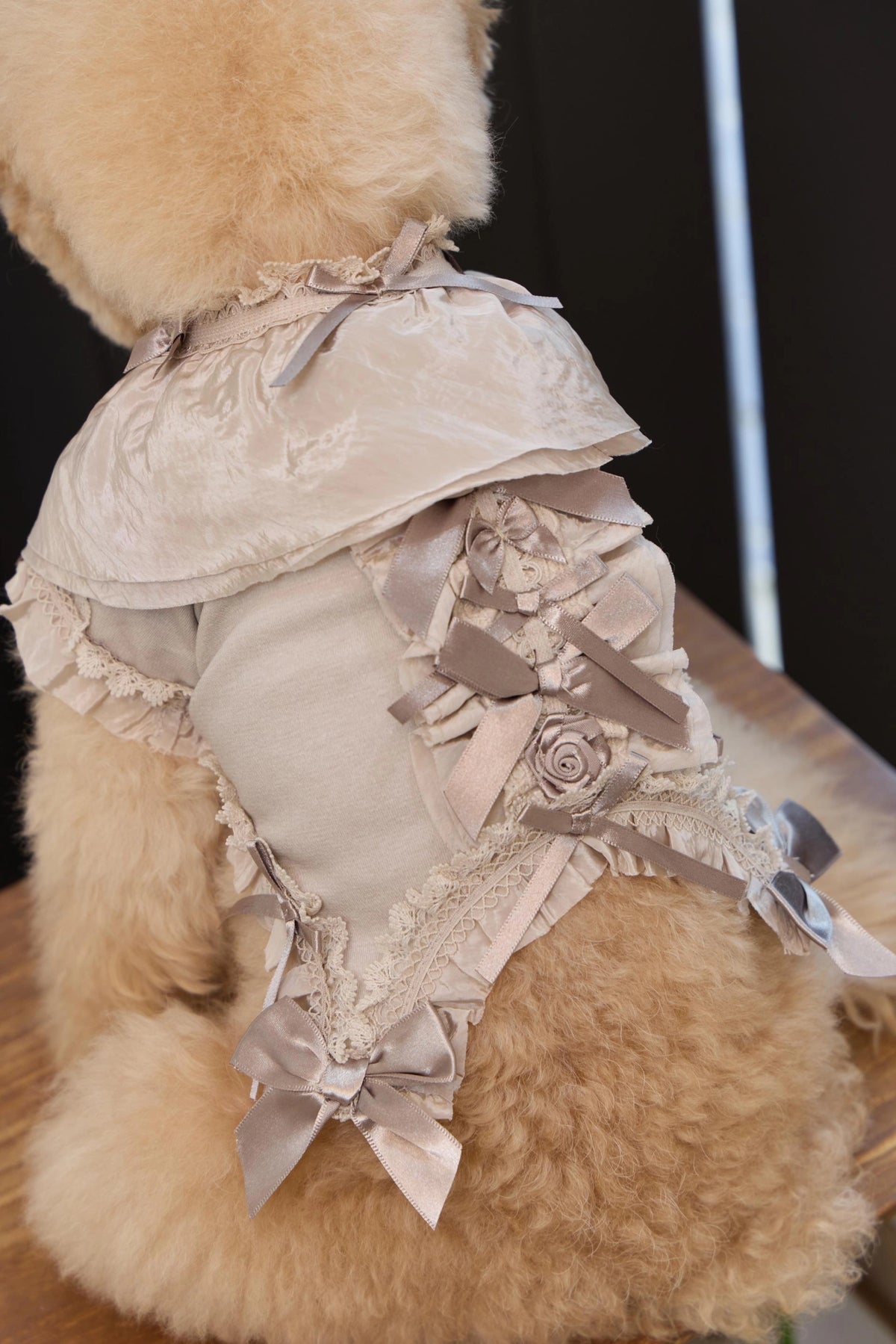Plié Belle Blouse 全3色