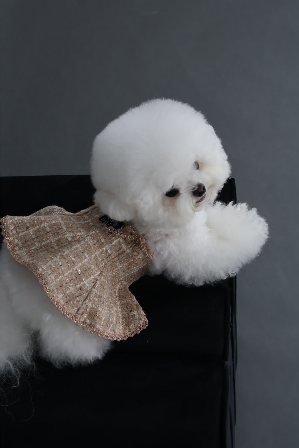 【PRE-ORDER】Moon Tweed A-Line Dress