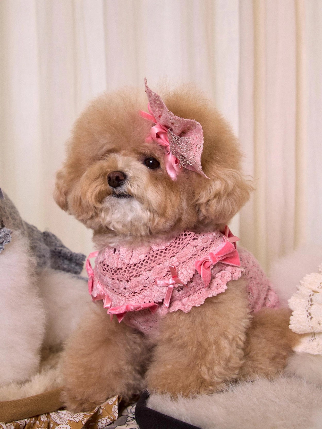 Lace Garden Dress 全3色