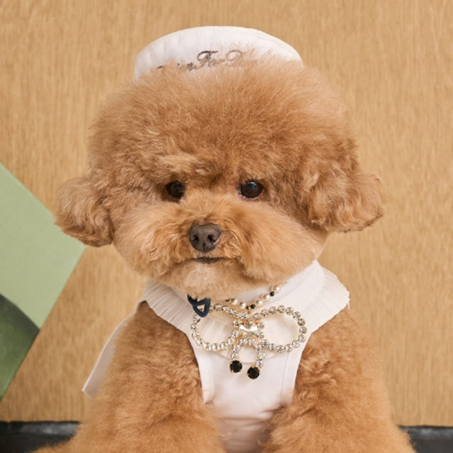 即納 Marine Cap 全3色