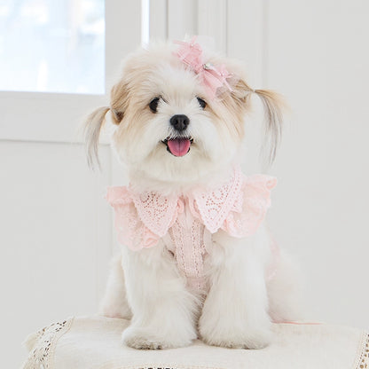 Sweetie Bebe Dress 全3色