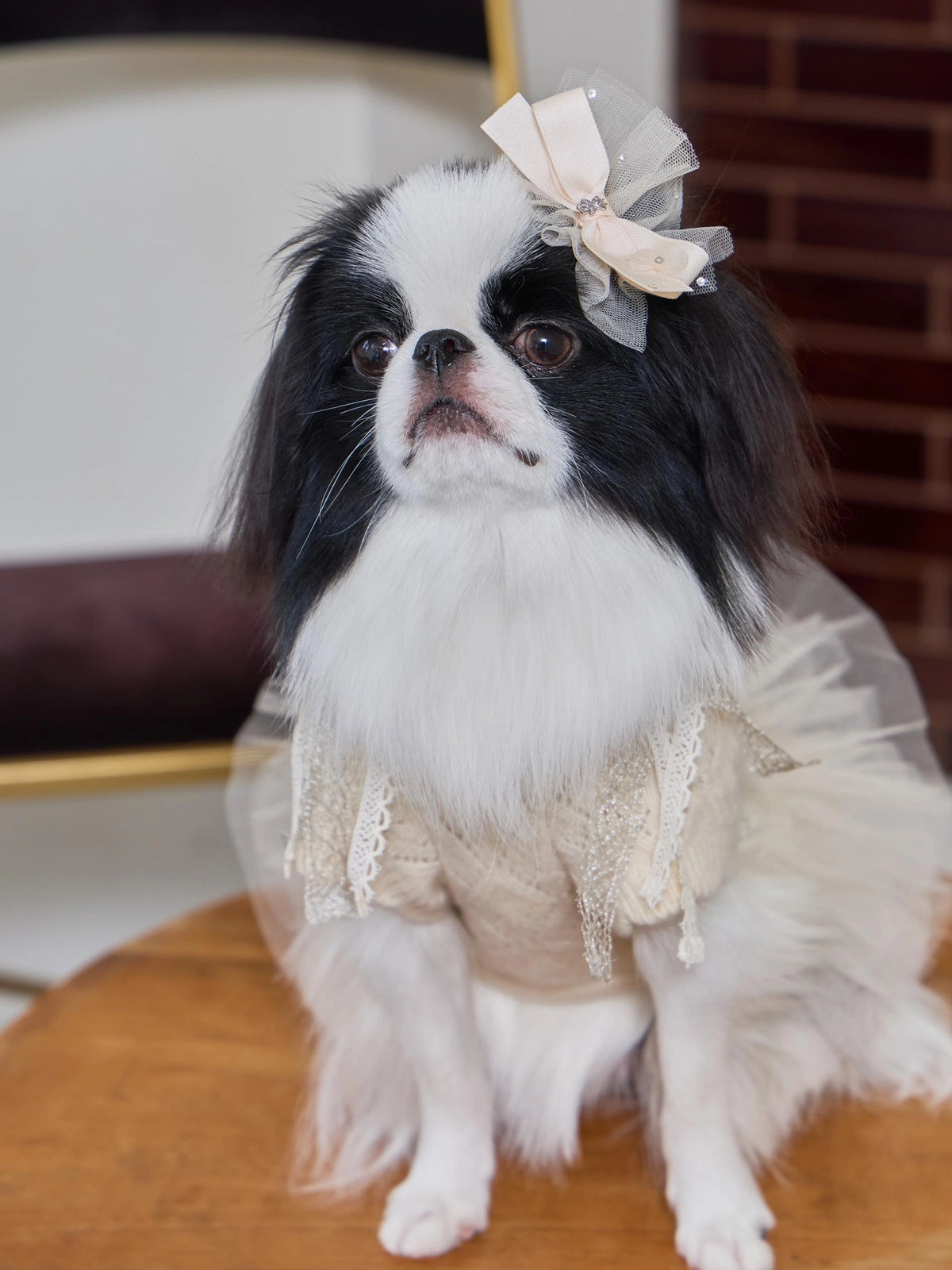 Patissier Tutu Dress 全3色