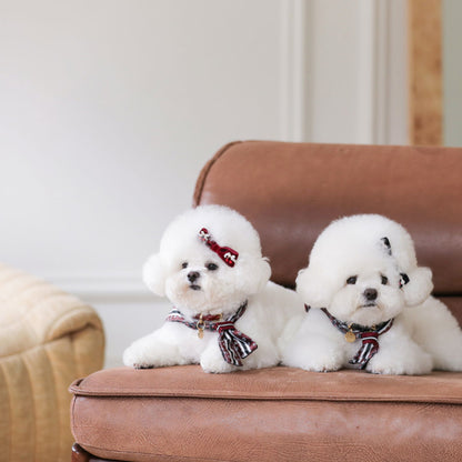 即納 ［Design For Dog x PETTISTA］Velvet Cape Wine&Black