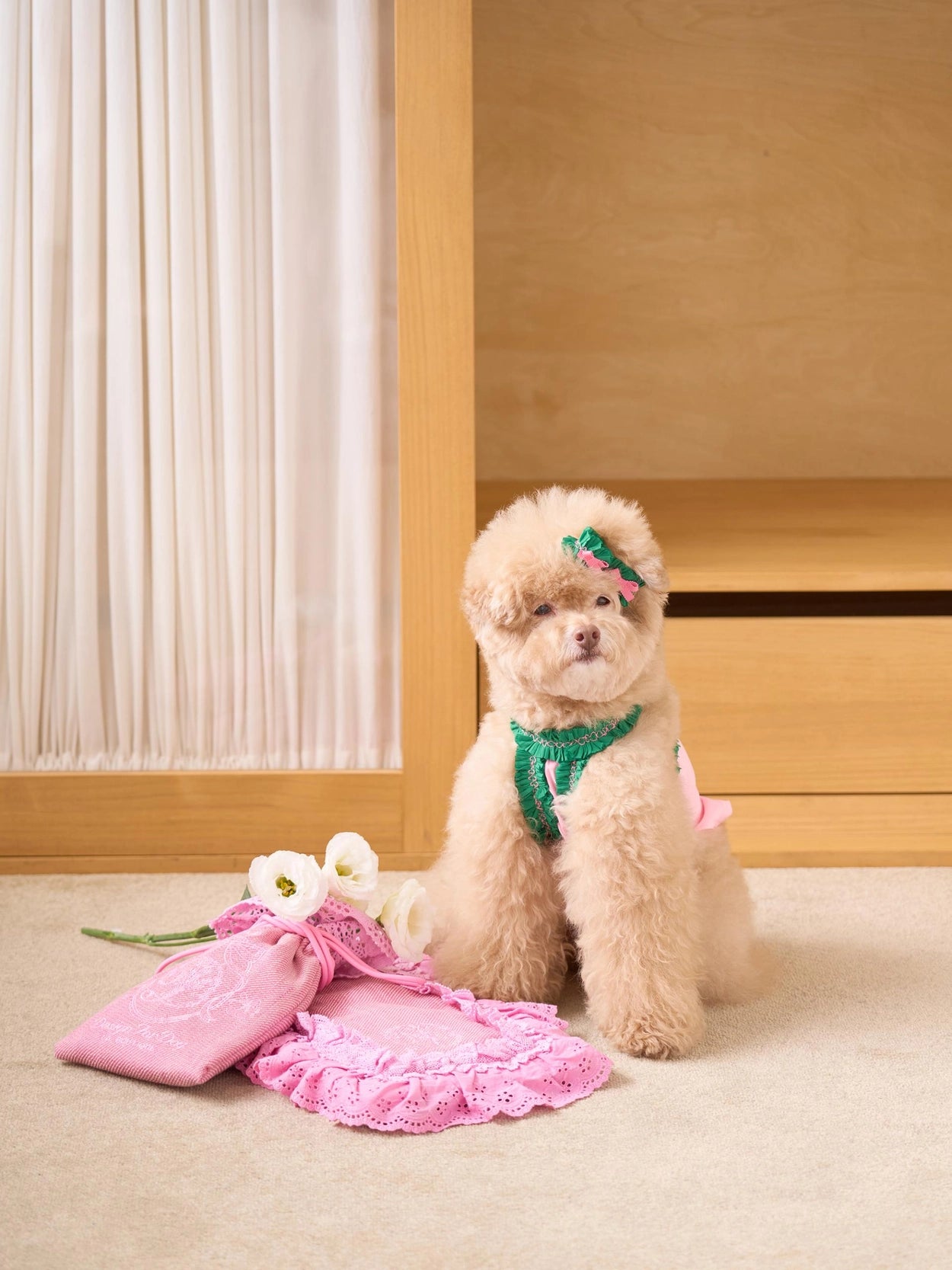 即納 DD Ice Pouch 全4色