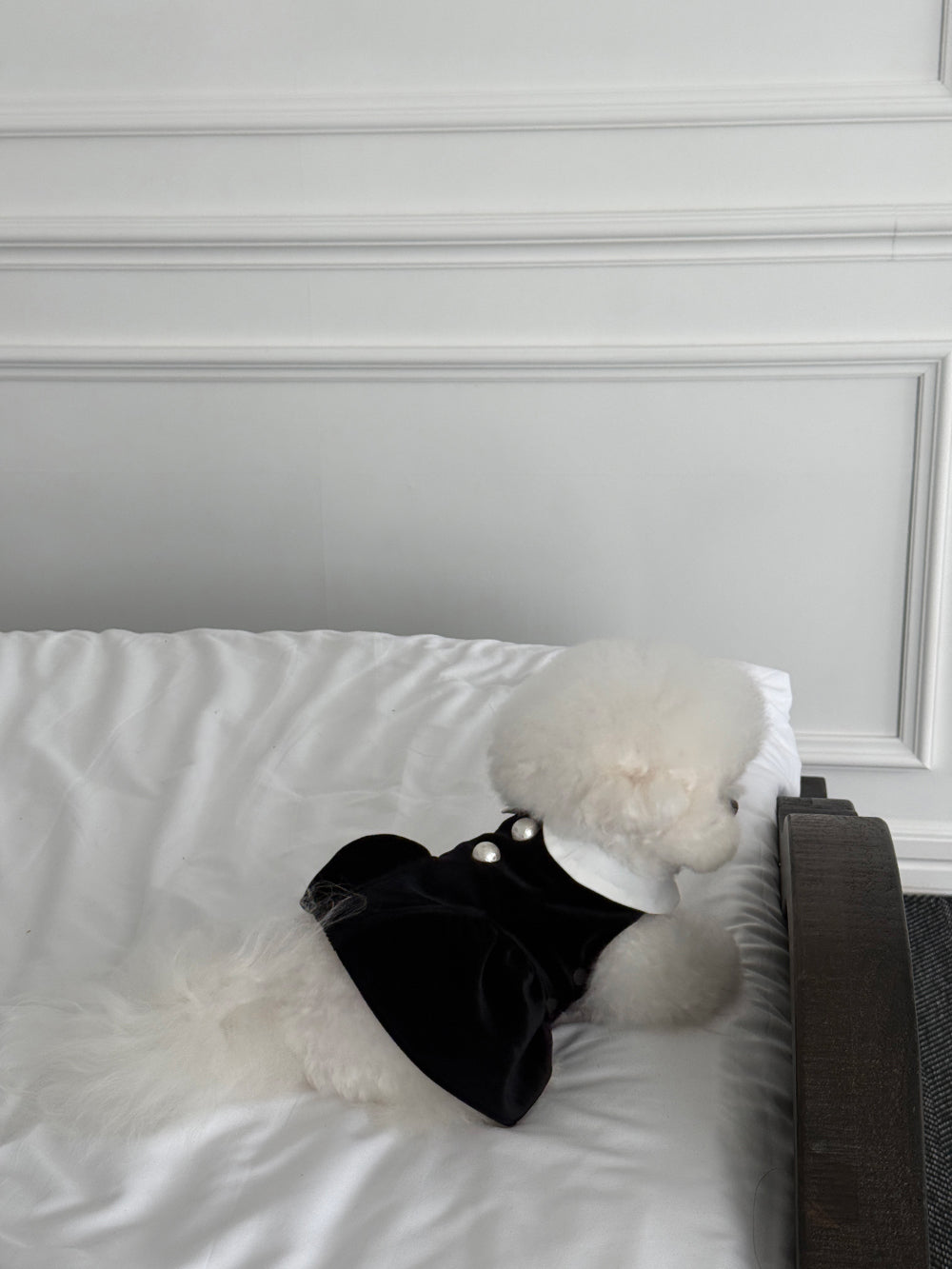 【PRE-ORDER】Black Velvet Dress