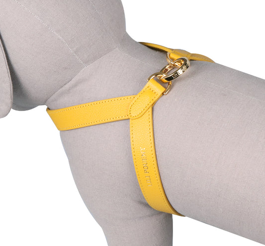 VV Harness イエロー