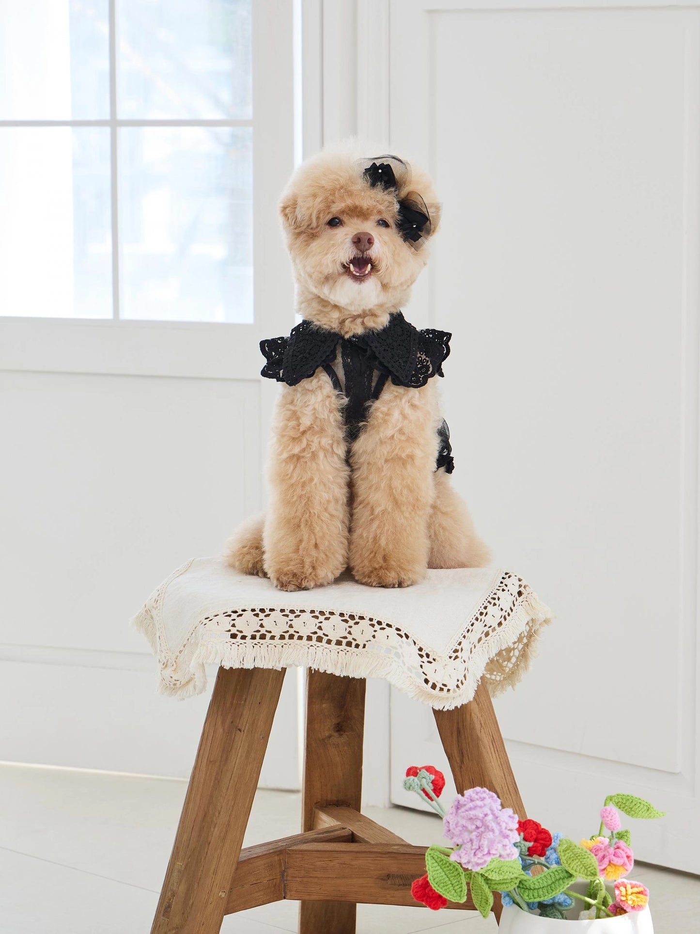Sweetie Bebe Dress 全3色