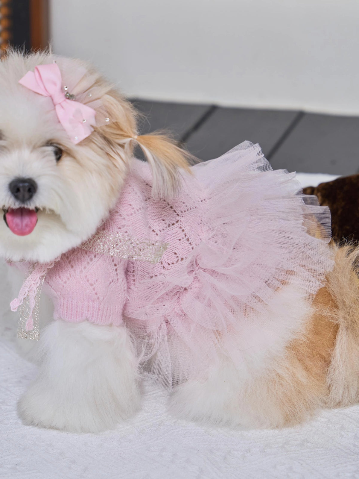 Patissier Tutu Dress 全3色
