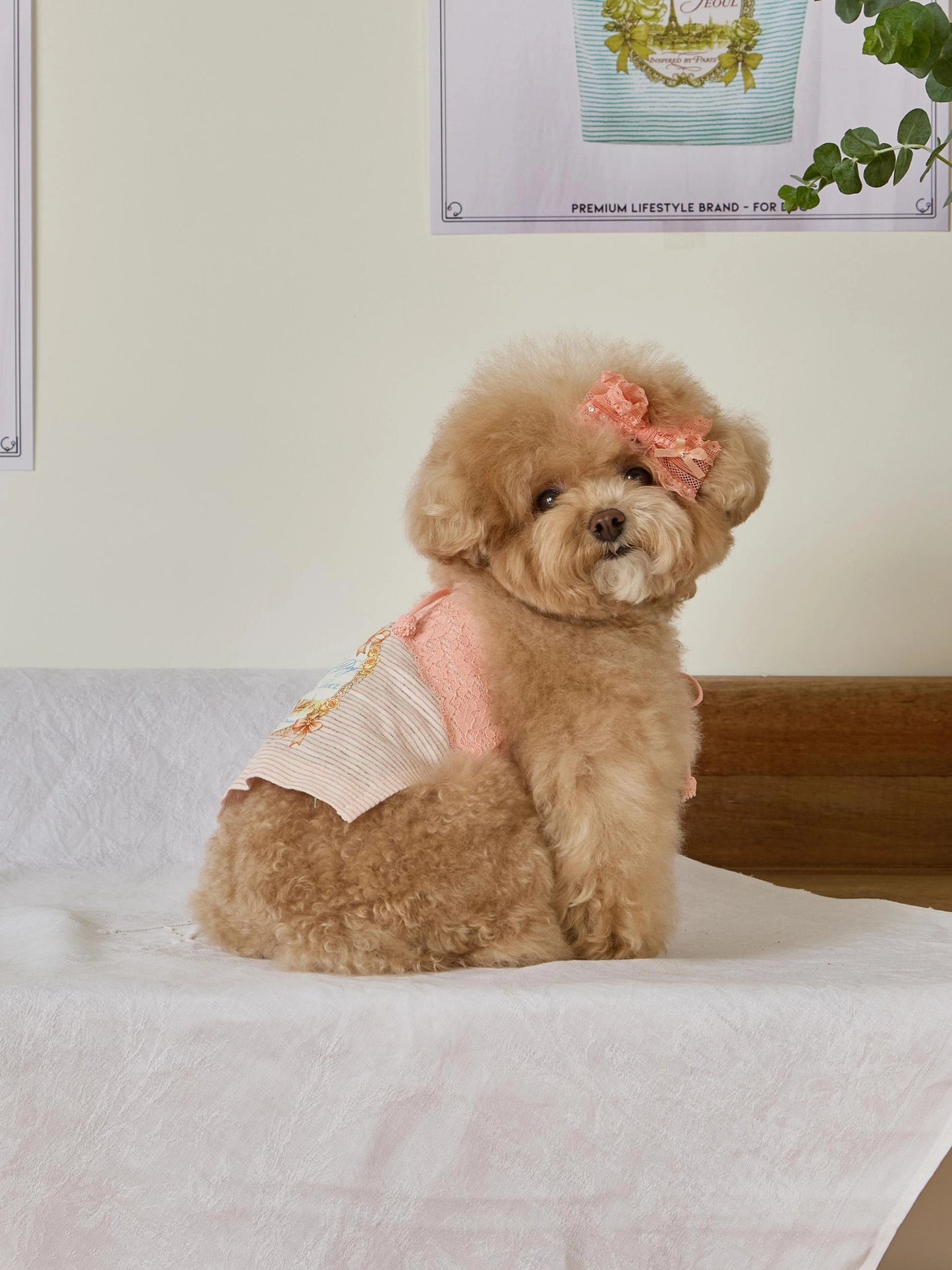 Petit Camisole Top 全3色