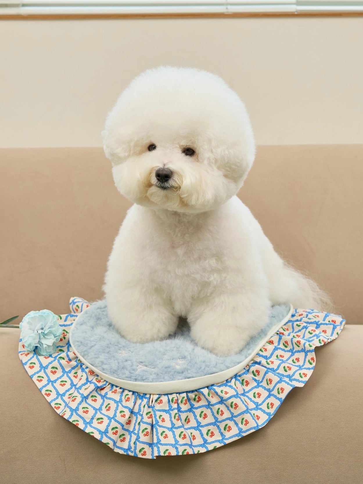 即納 Cozy Cloud Blanket 全3色