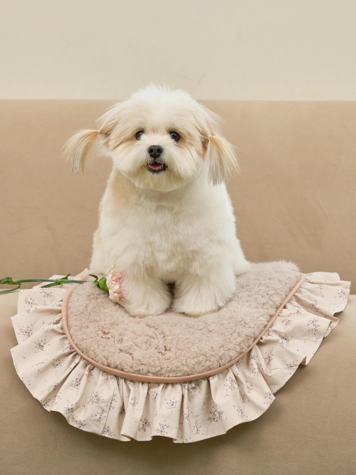 即納 Cozy Cloud Blanket 全3色