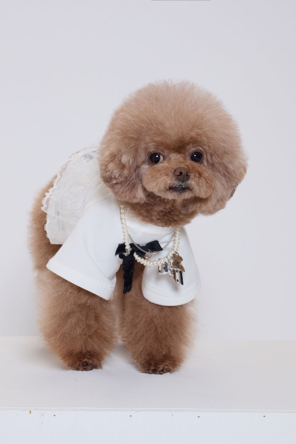 Pure Dog Lace Top ホワイト