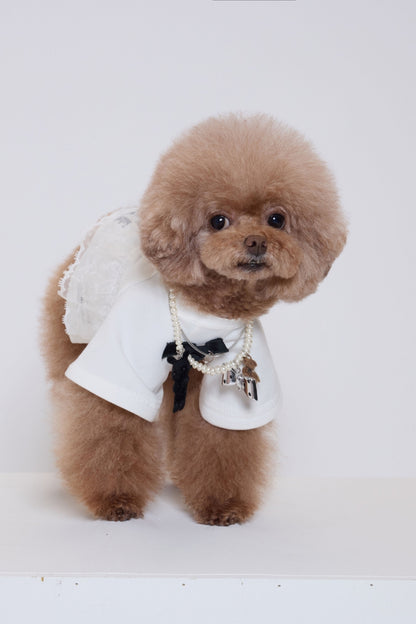 Pure Dog Lace Top ホワイト