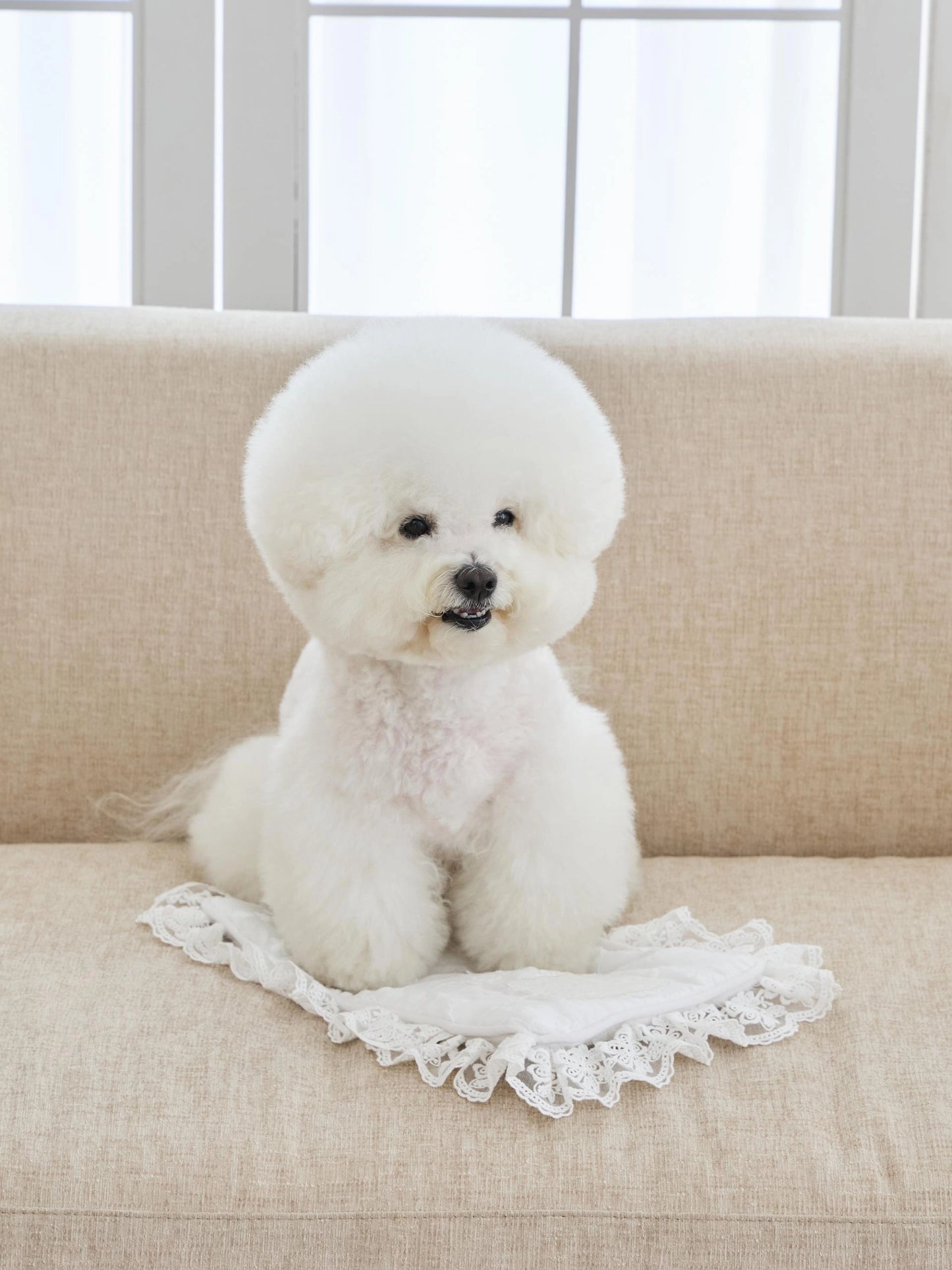 Lace de Blanc Mat 全3色
