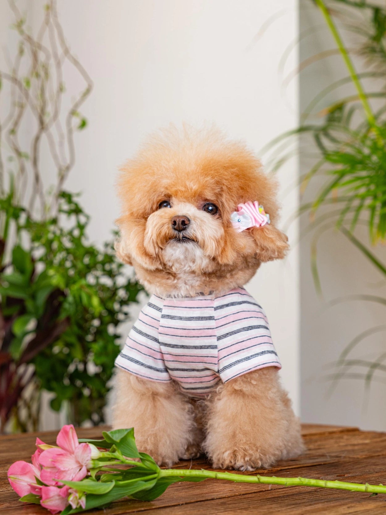 即納 Enjoy Wave T-Shirt 全3色