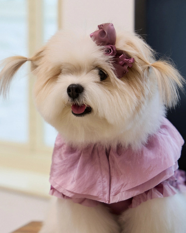Plié Belle Blouse 全3色