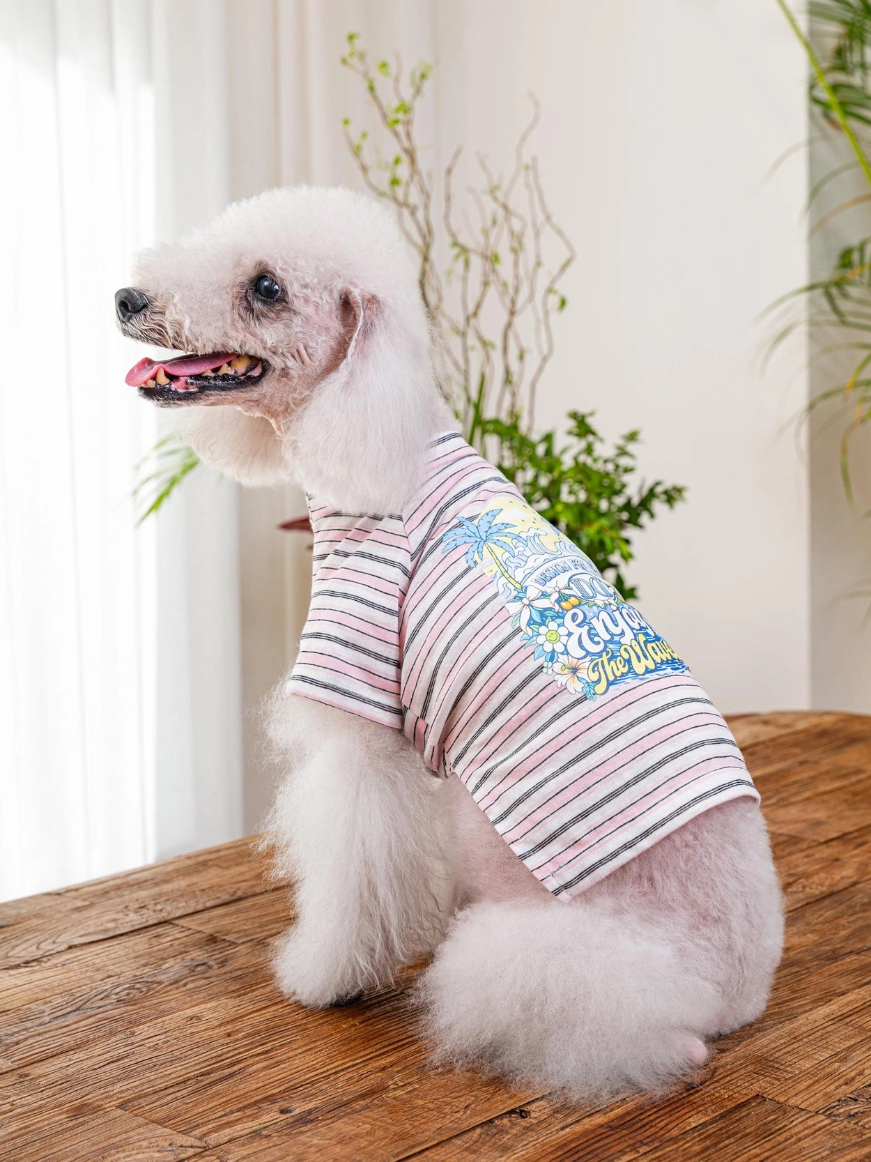 即納 Enjoy Wave T-Shirt 全3色