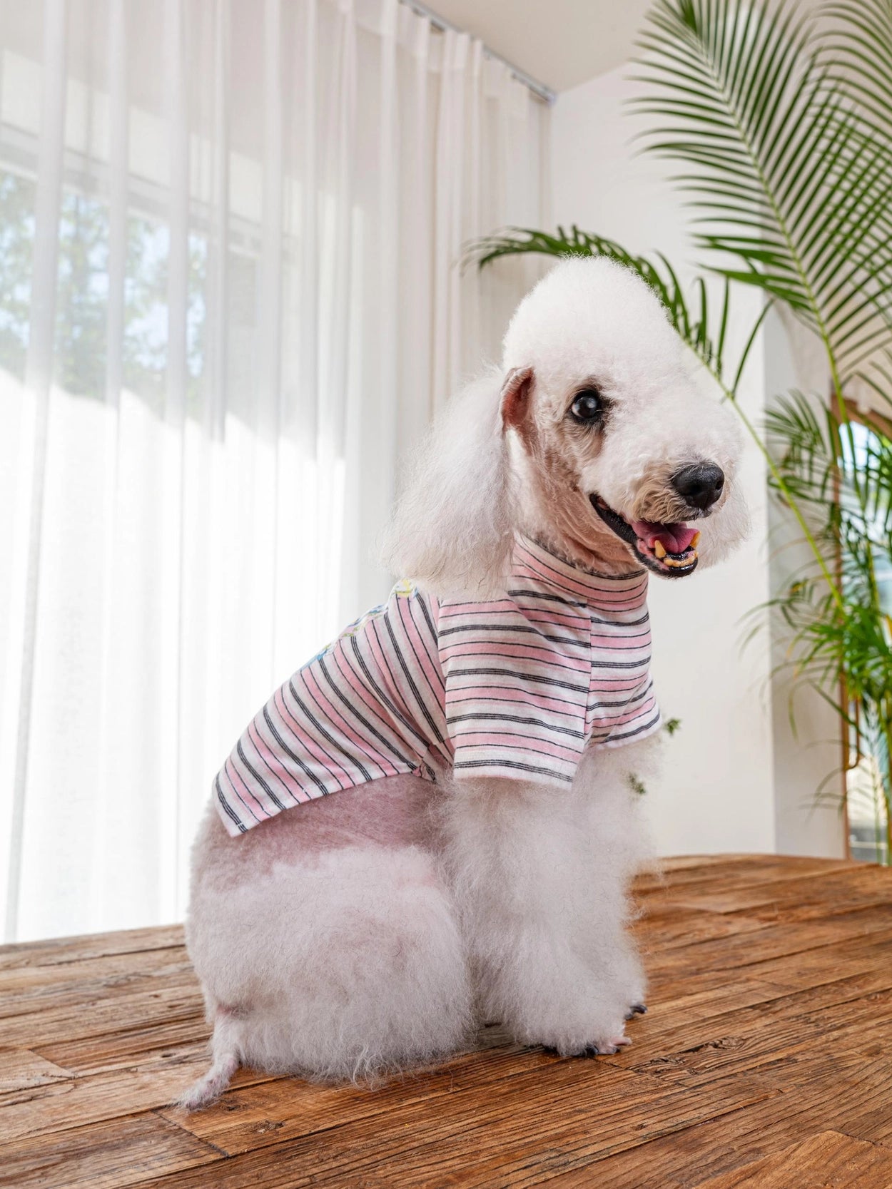 即納 Enjoy Wave T-Shirt 全3色