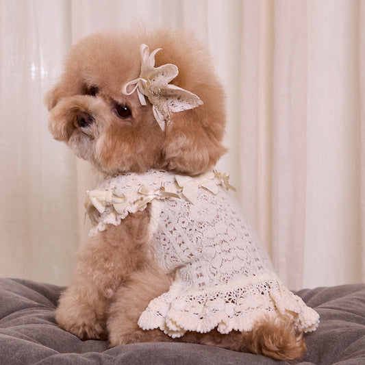 Lace Garden Dress 全3色