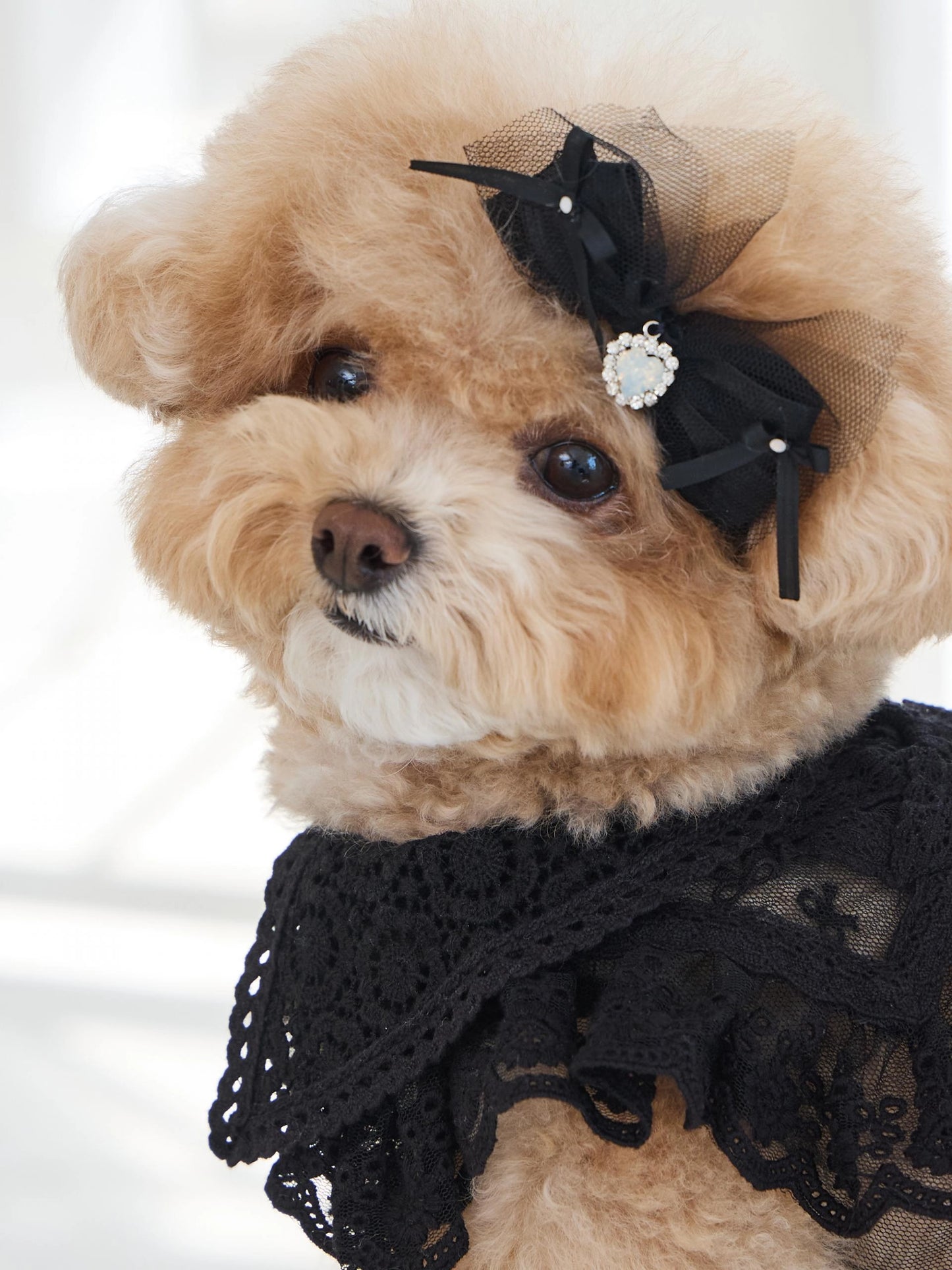 Sweetie Bebe Hairpin 全3色