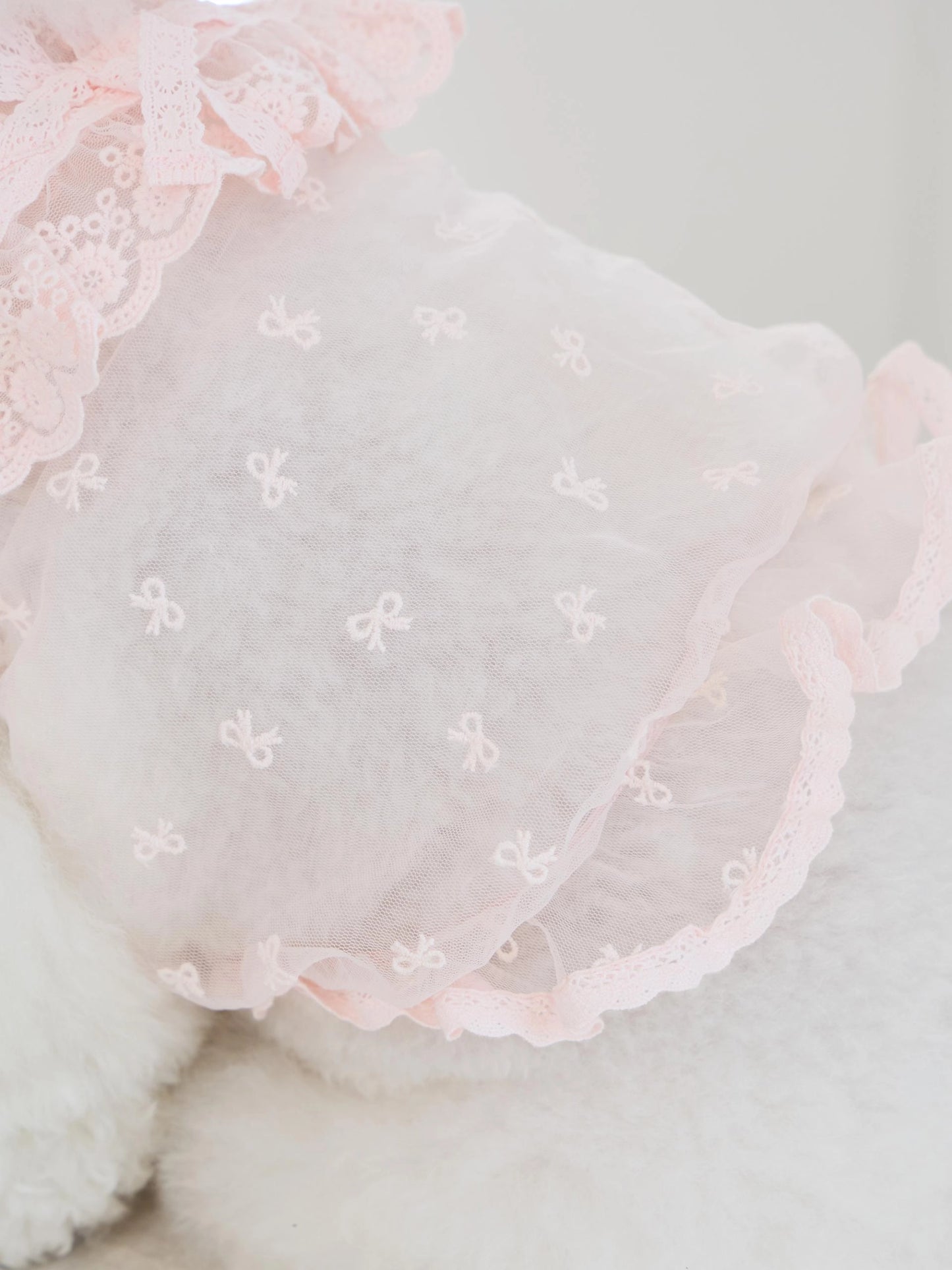 Sweetie Bebe Dress 全3色