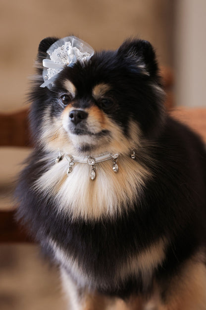 予約 Bloom Swarovski Collar【迷子札】シルバー