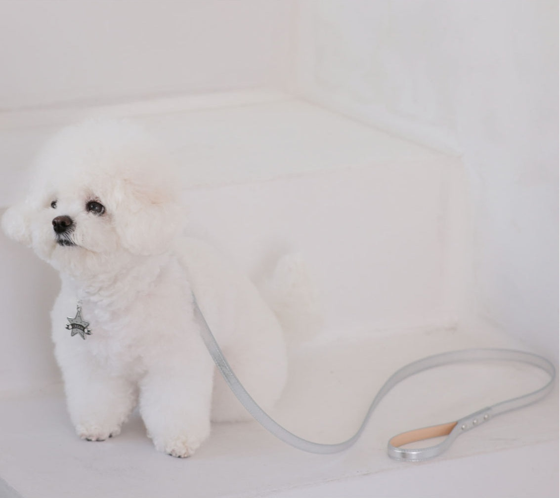 予約 Bloom Leash シルバー