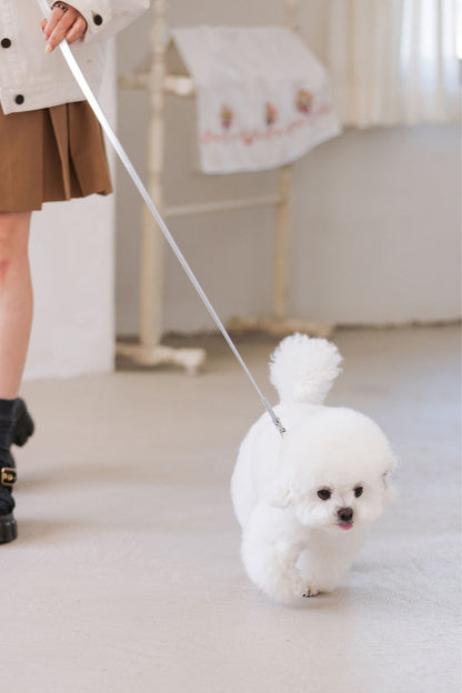 予約 Bloom Leash シルバー