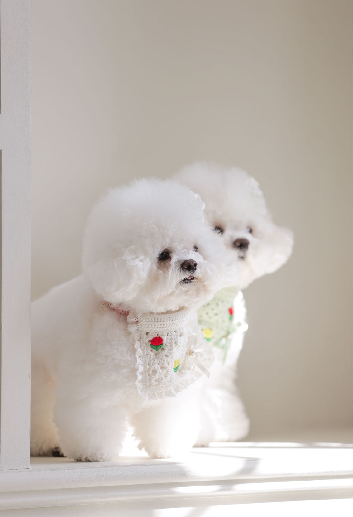 Apron Crochet Scarf ホワイト