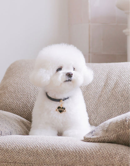 Bloom Collar × In My Heart Pendant【迷子札】 ブラック