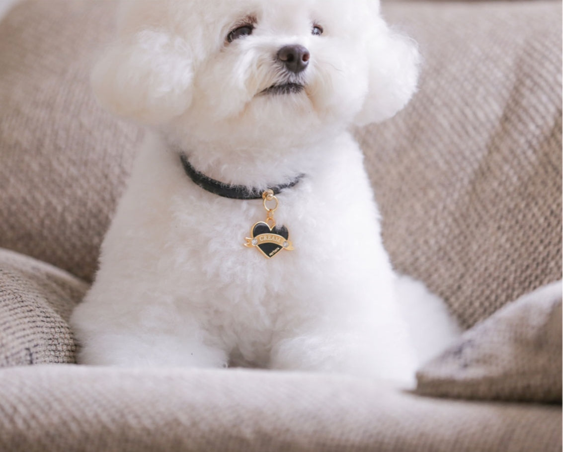 Bloom Collar × In My Heart Pendant【迷子札】 ブラック