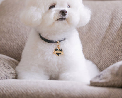 Bloom Collar × In My Heart Pendant【迷子札】 ブラック